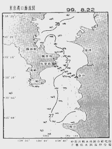 東京湾口海況図(1999/08/22)