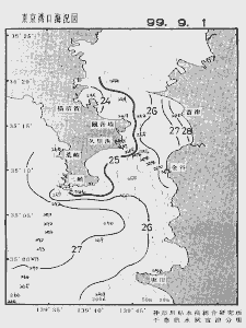 東京湾口海況図(1999/09/01)
