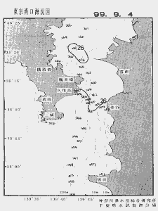 東京湾口海況図(1999/09/04)