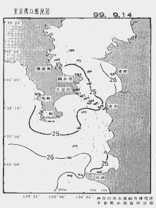 東京湾口海況図(1999/09/14)