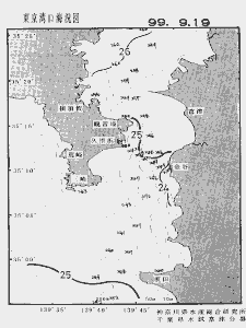 東京湾口海況図(1999/09/19)