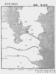 東京湾口海況図(1999/09/23)