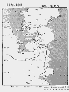 東京湾口海況図(1999/09/25)