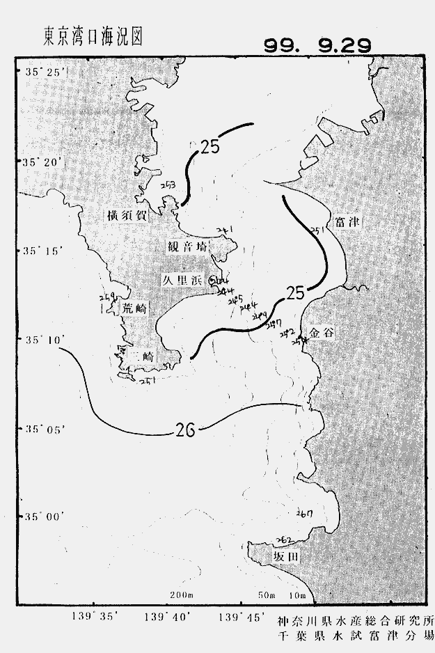 海況図, 東京湾口海況図 検索結果, (水温分布 等を図示)