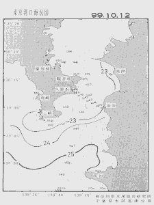 東京湾口海況図(1999/10/12)
