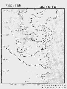 東京湾口海況図(1999/10/13)