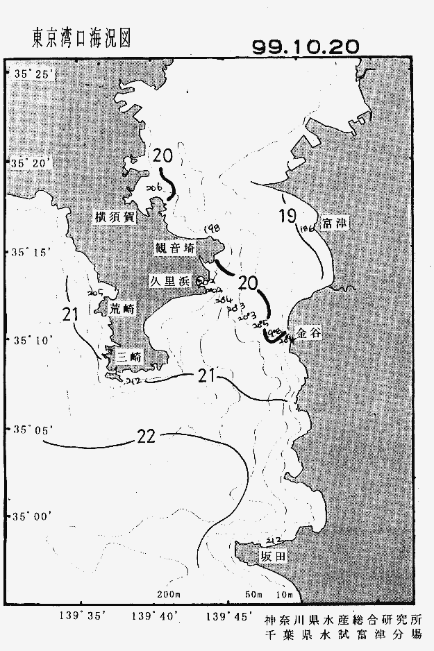 海況図, 東京湾口海況図 検索結果, (水温分布 等を図示)