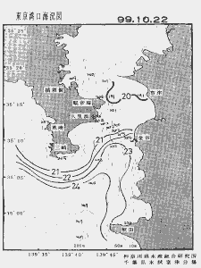 東京湾口海況図(1999/10/22)