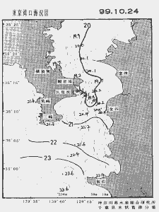 東京湾口海況図(1999/10/24)
