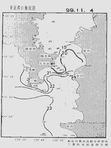 東京湾口海況図(1999/11/04)