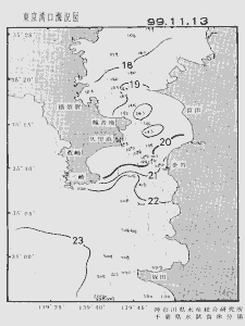 東京湾口海況図(1999/11/13)