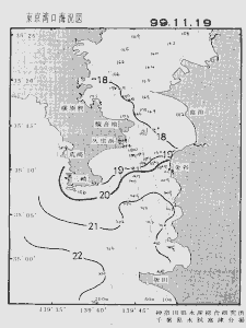 東京湾口海況図(1999/11/19)