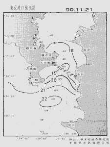 東京湾口海況図(1999/11/21)