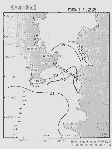 東京湾口海況図(1999/11/22)