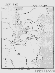 東京湾口海況図(1999/11/25)