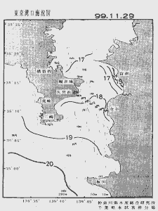 東京湾口海況図(1999/11/29)