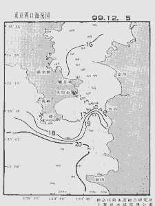 東京湾口海況図(1999/12/05)