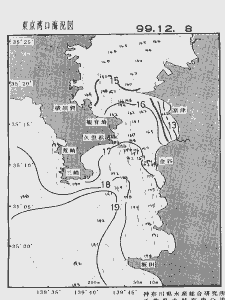 東京湾口海況図(1999/12/08)