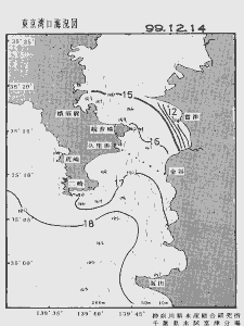 東京湾口海況図(1999/12/14)