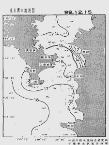 東京湾口海況図(1999/12/15)