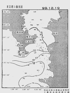 東京湾口海況図(1999/12/19)