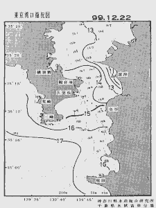 東京湾口海況図(1999/12/22)
