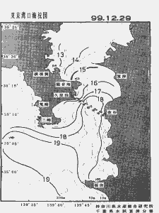 東京湾口海況図(1999/12/29)