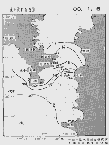 東京湾口海況図(2000/01/06)