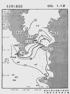 東京湾口海況図(2000/01/12)