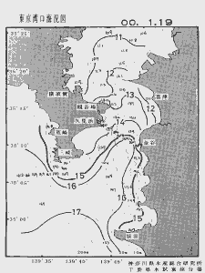 東京湾口海況図(2000/01/19)