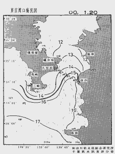 東京湾口海況図(2000/01/20)