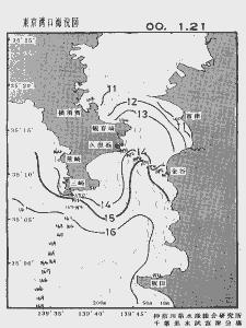 東京湾口海況図(2000/01/21)