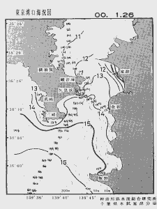 東京湾口海況図(2000/01/26)