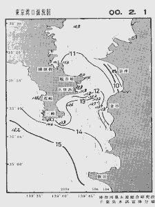 東京湾口海況図(2000/02/01)