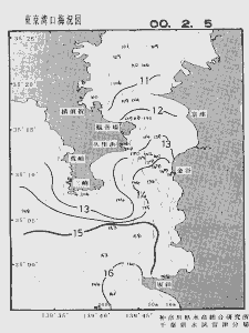 東京湾口海況図(2000/02/05)