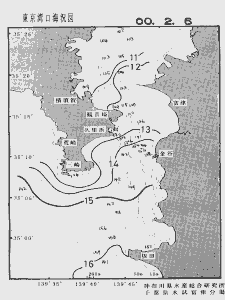 東京湾口海況図(2000/02/06)