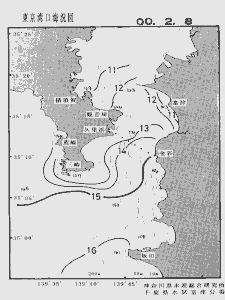 東京湾口海況図(2000/02/08)