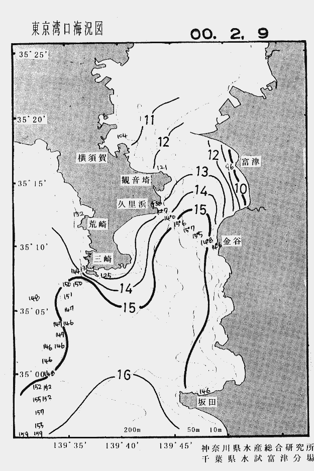 海況図, 東京湾口海況図 検索結果, (水温分布 等を図示)