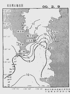 東京湾口海況図(2000/02/09)