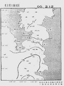 東京湾口海況図(2000/02/12)