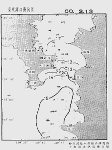 東京湾口海況図(2000/02/13)