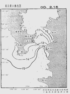 東京湾口海況図(2000/02/16)