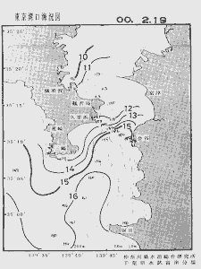 東京湾口海況図(2000/02/19)