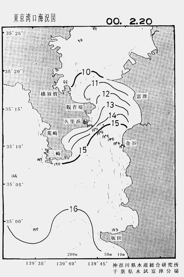海況図, 東京湾口海況図 検索結果, (水温分布 等を図示)