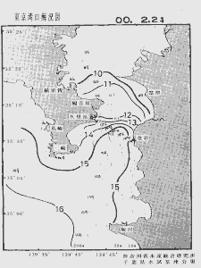 東京湾口海況図(2000/02/21)