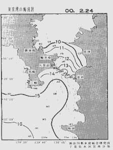 東京湾口海況図(2000/02/24)