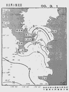 東京湾口海況図(2000/03/01)