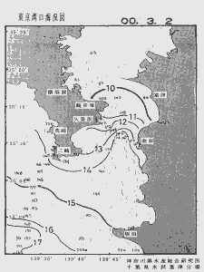 東京湾口海況図(2000/03/02)