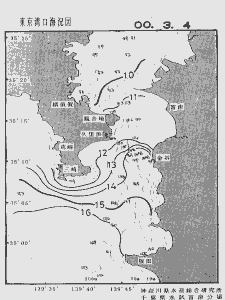 東京湾口海況図(2000/03/04)