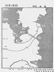 東京湾口海況図(2000/04/05)